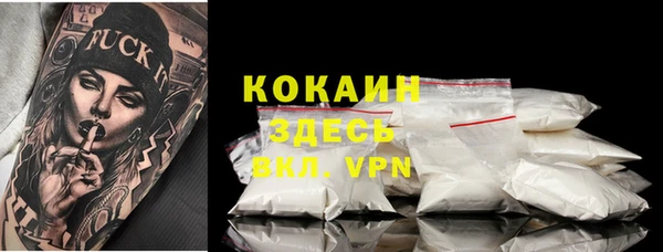 spice Алзамай