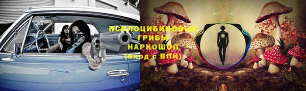 apvp Алексеевка