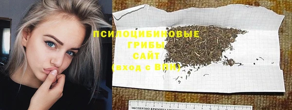 spice Алзамай