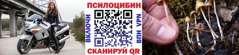 Галлюциногенные грибы Magic Shrooms  Дудинка 